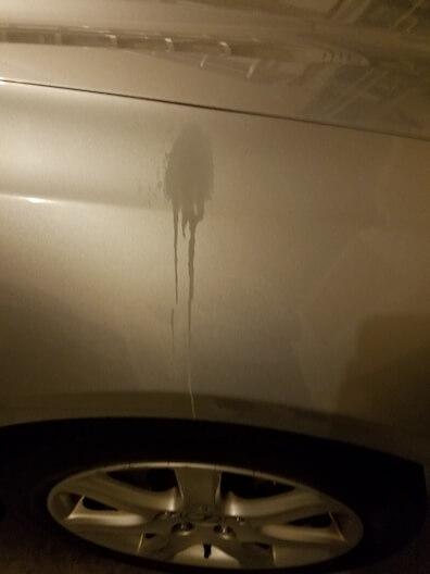 paint smear on car fender
