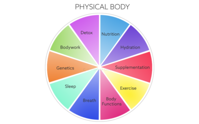 Tending Your Personal Landscape – What is a Personal Landscape?
