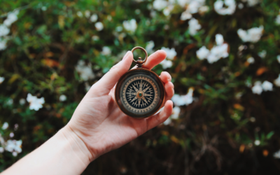 Who Knows Best – Internal and External Reference Points