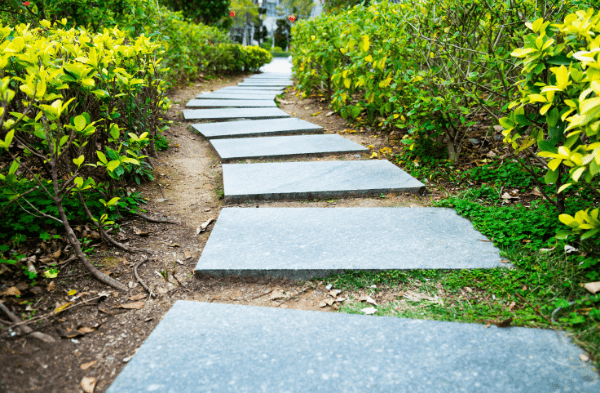 Future Focused Coaching Path Future Focused Coaching Path
