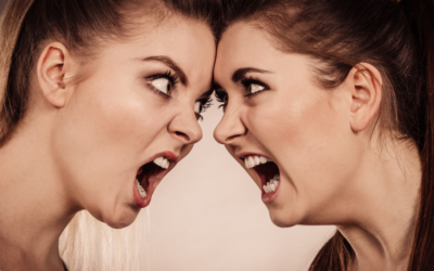 A Difficult Difference – Adult Bully Role Models