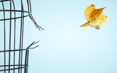 Stepping into Freedom – Endings and Letting Go