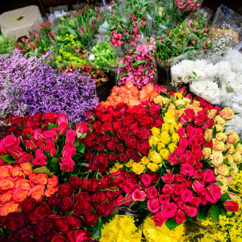 Fresh flowers for sale